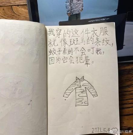 小女孩日记，小女孩的回忆？