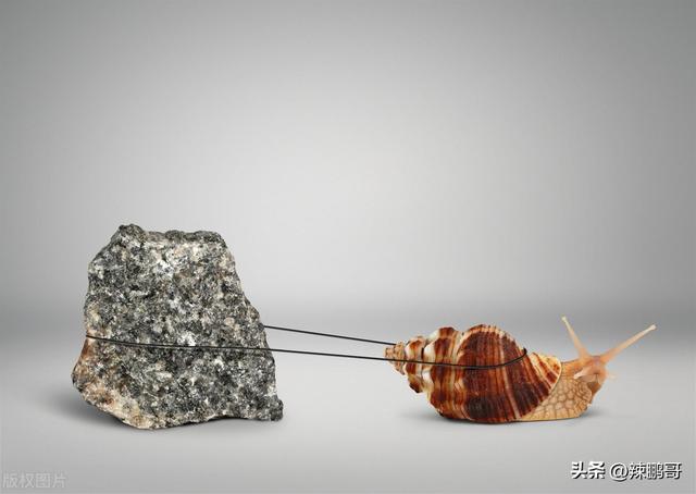 意志坚强的成语,坚定不移的成语?