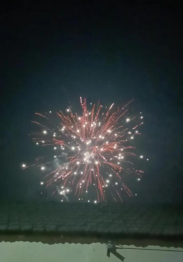 烟花烂漫，烟花绚烂？